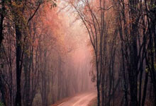 [乒乓球]王楚钦首登男单年终世界第一.