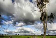 [乒乓球]王楚钦首登男单年终世界第一.